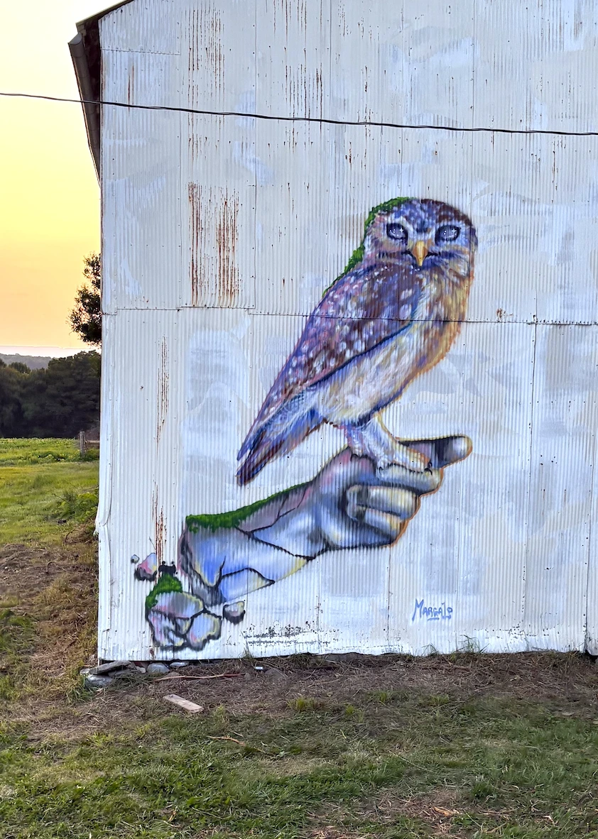 2025, spray paint. Halseyville Rd, Ulysses NY. A clue in the Tompkins County History Center's treasure hunt puzzle for $10,000 in jewels.