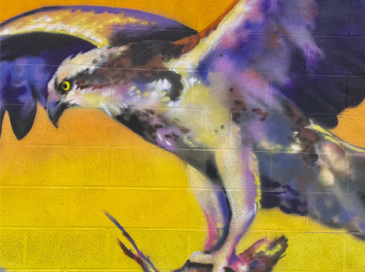 2024, spray paint. Fall Creek House and Bar, Ithaca NY.