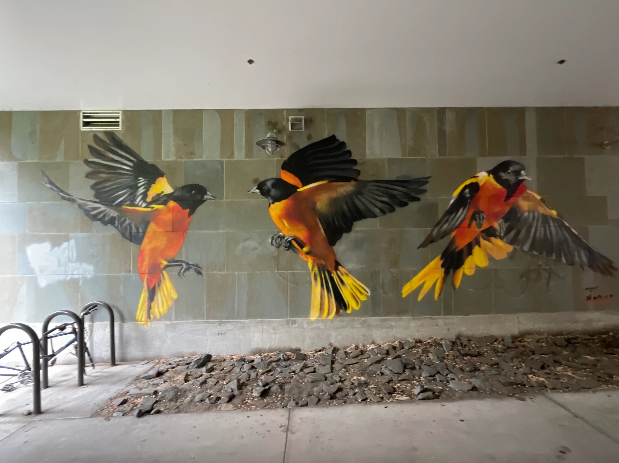 2023, spray paint. Cayuga Place Apartments, Ithaca, NY.