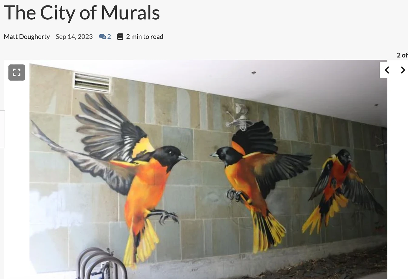 Ithaca Times, “City of Murals”, 2023.